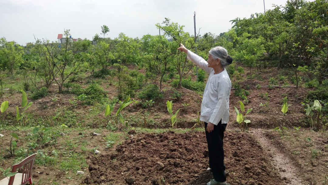 Bà mẹ Việt Nam Anh hùng Phạm Thị Liên 10 năm đội đơn xin cấp sổ đỏ bất thành.