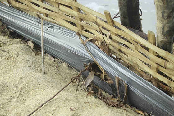 5 vỡ đập ngăn mặn sông Trà bồng