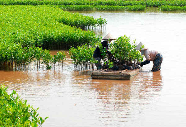 lập quy hoạch bảo vệ môi trường cấp tỉnh