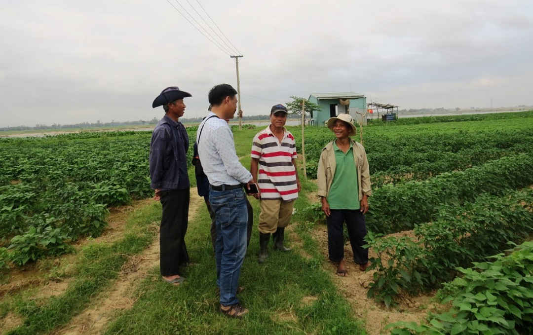 Người dân xã Điện Quang, TX. Điện Bàn phản ánh với PV Báo TN&MT về tình trạng sạt lở bờ sông Thu Bồn do hoạt động khai thác cát lòng sông