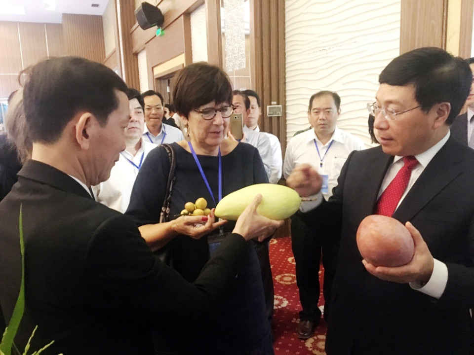 Chú thích ảnh 5 Phó Thủ tướng Chính phủ, Phạm Bình Minh giới thiệu với đại biểu quốc tế về xoài 3 màu của tỉnh An Giang