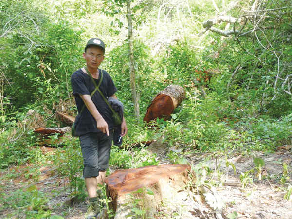 Nha ba o Co ng Hoan trong mo t la n i ie u tra pha ru ng o a k La k