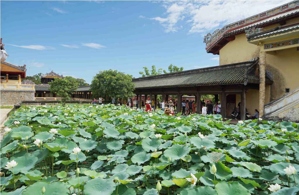 Vườn sen trong Đại nội Huế