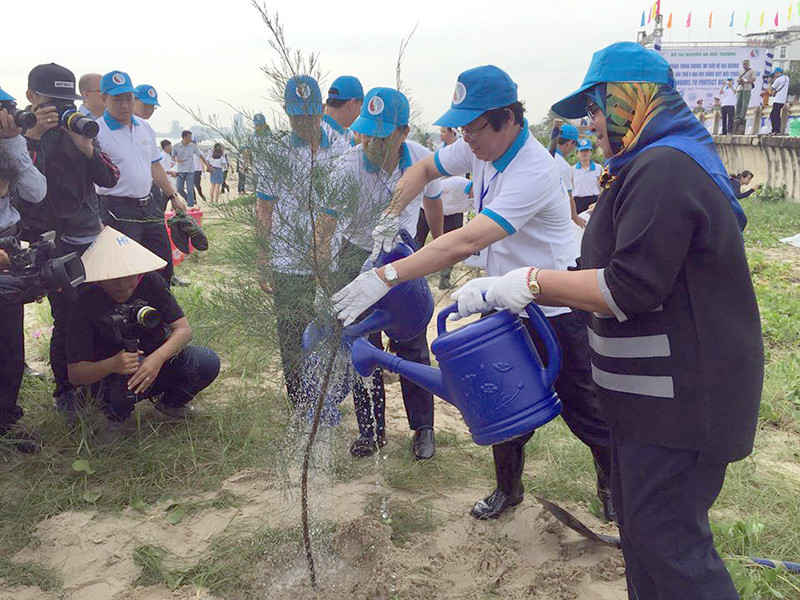 Trồng cây