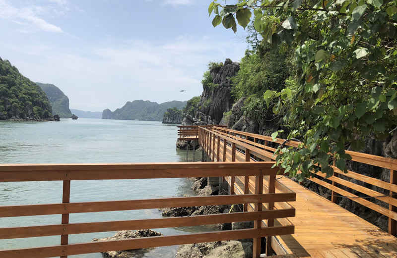 Toàn bộ hệ thống đường dạo trên đảo đều được sử dụng vật liệu gỗ.