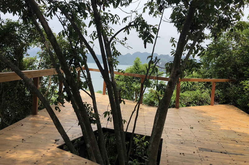 Trong quá trình làm đường dạo, nếu gặp cây đều tránh không làm tổn hại đến hệ sinh thái trên đảo.