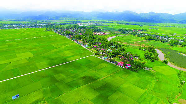nậm rốm 1