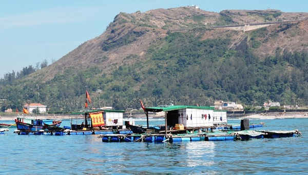 Một góc đảo Lý Sơn (Quảng Ngãi).