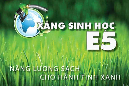xăng E5