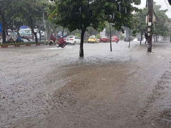 Vỉa hè khá cao cũng đã lút nước