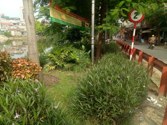Sau khi ra quân