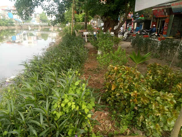 Hà Nội: Cần nhân rộng mô hình “Ngày chủ nhật xanh”