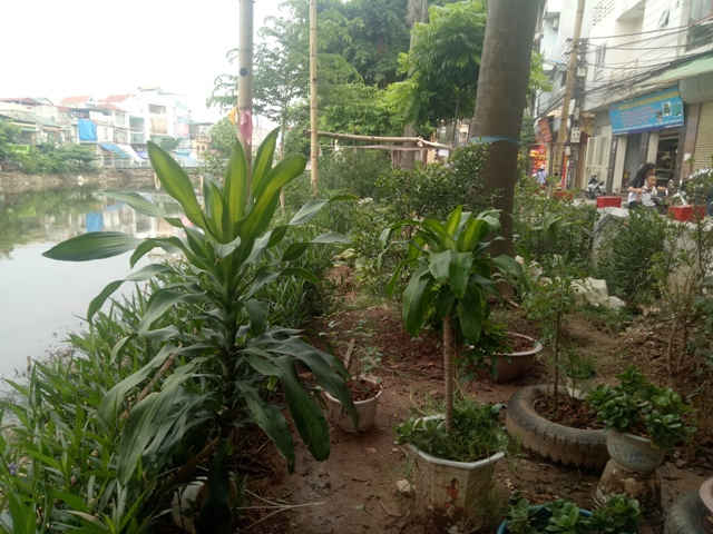 mô hình “Ngày chủ nhật xanh” đến nay
