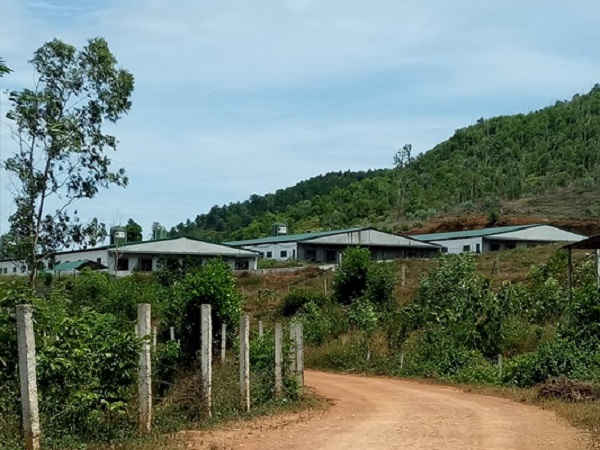 Trang trại lợn siêu nạc có quy mô hoành tráng xay trái phép trên đất lâm nghiệp nhiều năm nay nhưng vẫn chưa bị huyện Thanh Chương xử lý