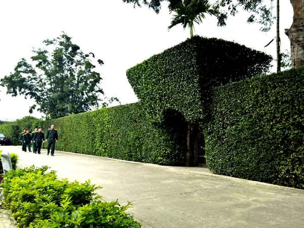 Đường làng, ngõ xóm “hút mắt” trên miền quê Hà Tĩnh ( Ảnh Minh Lý)