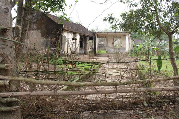 Cả làng có trên ngôi nhà bị bỏ hoang