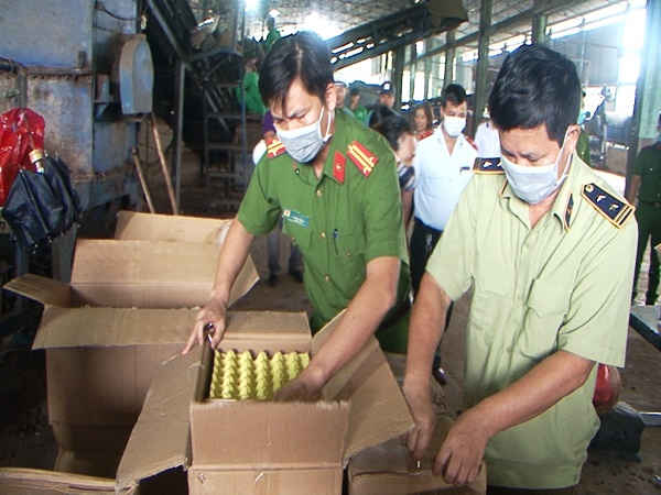 Lực lượng chức năng kiểm tra tiêu hủy gần 1200 quả trứng
