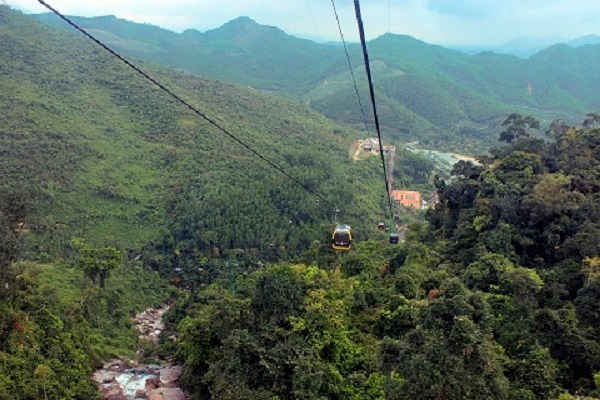 Một góc rừng Bà Nà – Núi Chúa