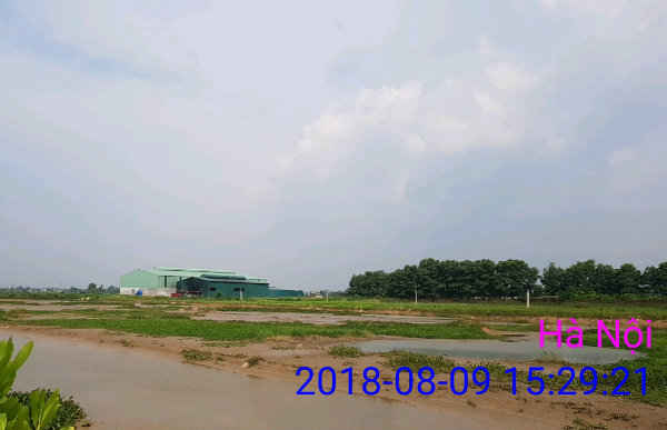 Quyết liệt xử lý sai phạm đất đai và môi trường 2