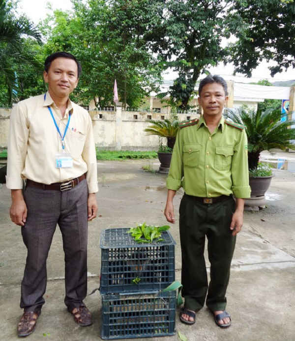 Cá thể Voọc chà vá chân nâu đã được thả về môi trường tự nhiên