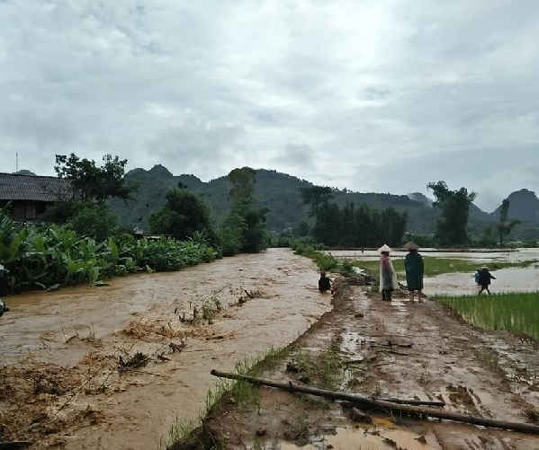 Mưa lũ làm ngập úng và cuốn trôi nhiều ruộng lúa, hoa màu, tải sản của bà con nhân dân.