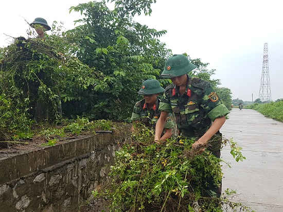 anh 2