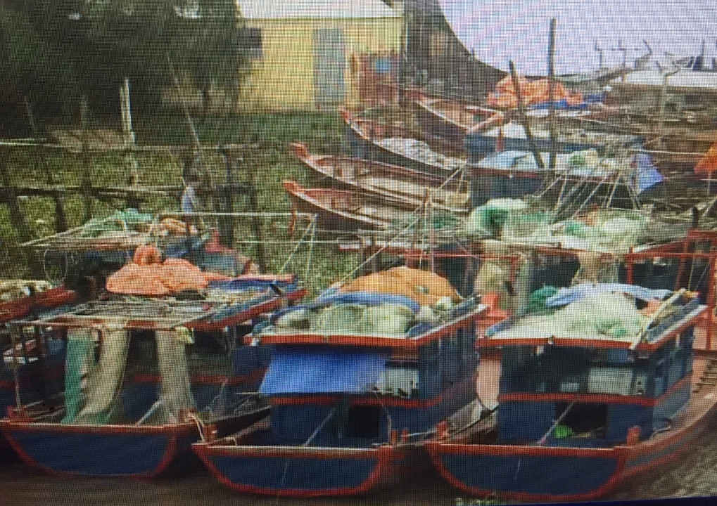 TB Tàu thuyền tránh trú bão