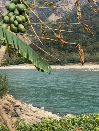 Sông Karnali, Viễn Tây Nepal. Ảnh: Akriti Sharma