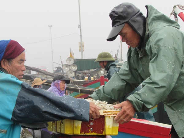 Lao động có kinh nghiệm đang ngày càng già đi, chưa tìm được lực lượng thay thế