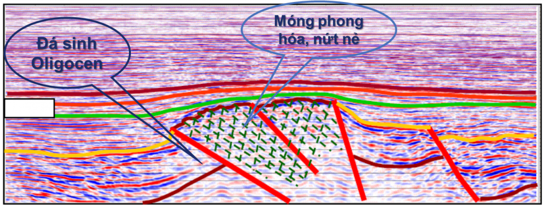 .Sơ đồ mô tả cách dầu khí từ đá sinh nạp vào móng phong hóa nứt nẻ mỏ Bạch Hổ
