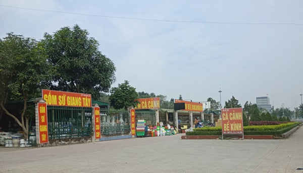 Địa điểm Ban quản lý quảng trường cho thuê đất trái quy định (Giáp mặt đường Trường Thi, phường Trường Thi, TP Vinh)