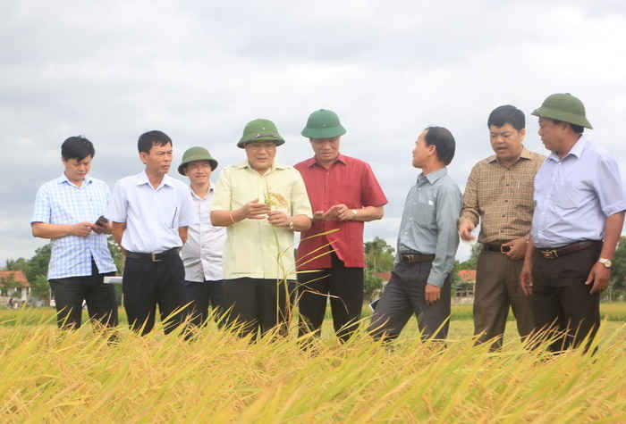 Anh 1