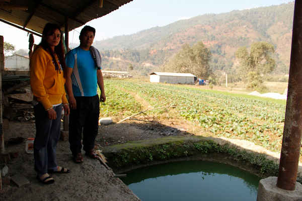 Rajendra Chitrakar (bên phải) ở khu vực Jiling, Nuwakot đứng bên cạnh cánh đồng được tưới bằng nước bơm từ sông Trisuli. Ảnh: Bhrikuti Rai