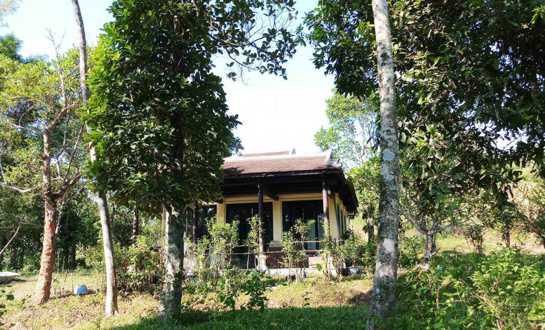 Bỏ hoang rất lãng phí