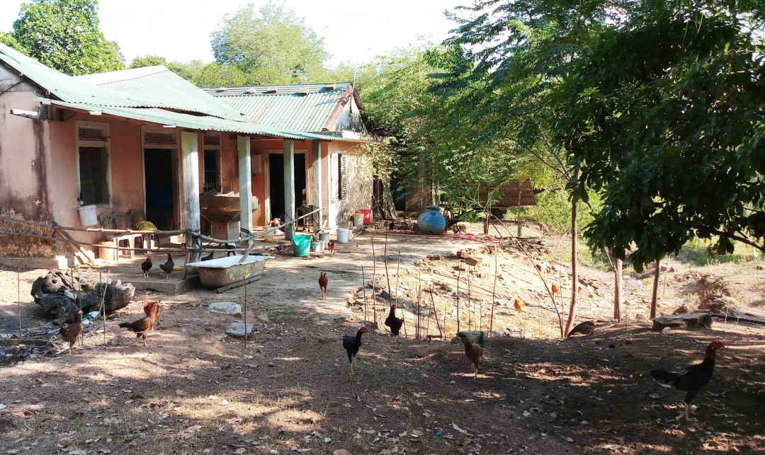 Nuôi gà ngay trong khuôn viên của dự án