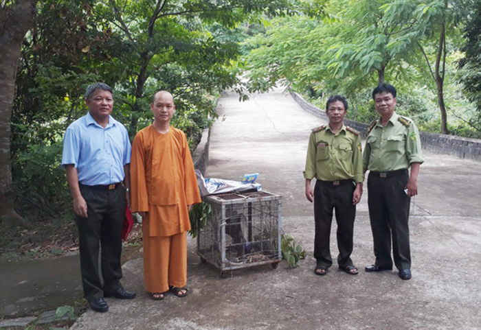 Lực lượng chức năng cùng người dân tiến hành thả các cá thể động vật quý hiếm về tự nhiên