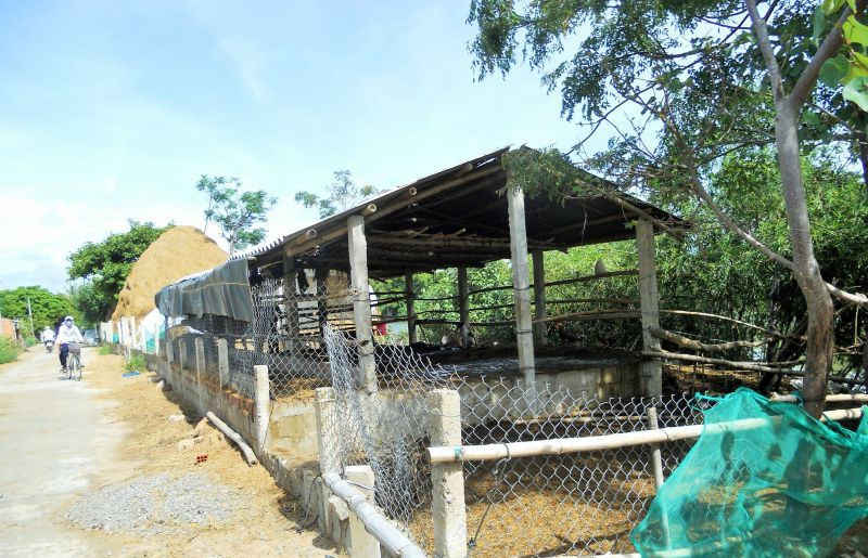 cong trinh xay trai phep tren de dong