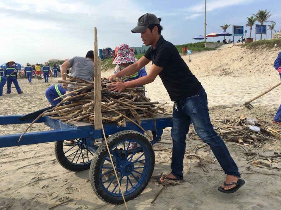 Lượng rác chủ yếu là củi khô