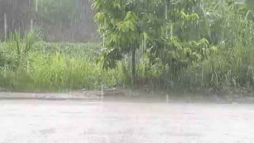 thoi tiet