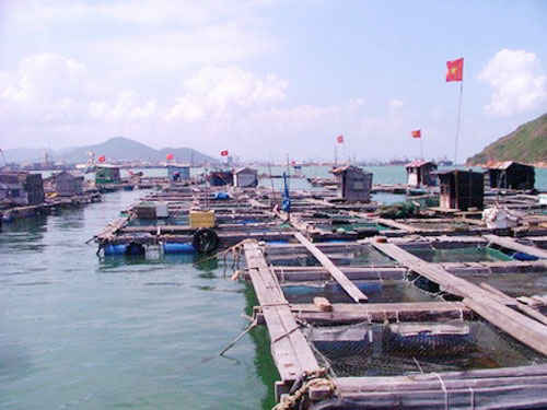 1389840572 image98065