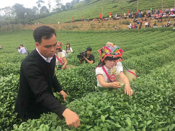 Phần thi tài năng người làm chè với 5 đội thi của 4 xã có diện tích trồng chè lớn của huyện