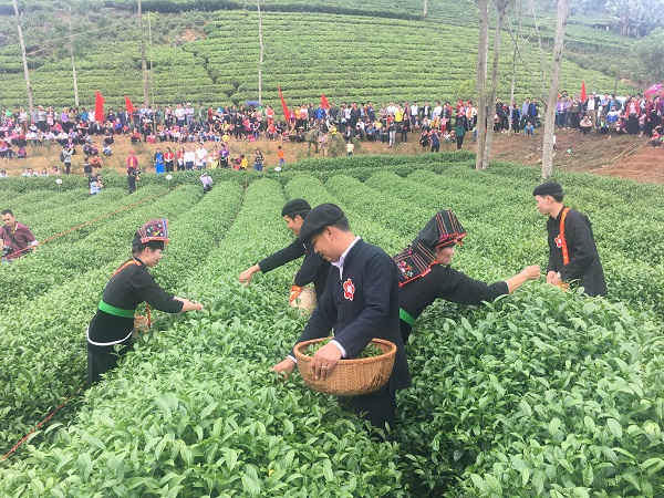 Phần thi tài năng người làm chè với 5 đội thi của 4 xã có diện tích trồng chè lớn của huyện