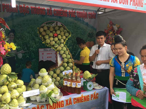 Các gian trưng bày, giới thiệu các sản phẩm nông sản địa phương