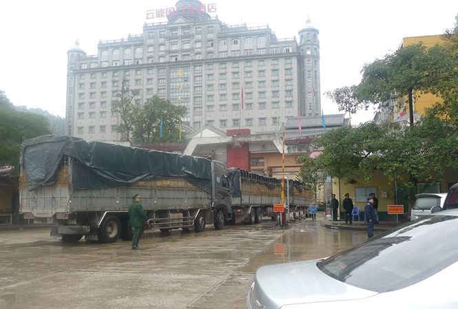 Ảnh Thanh long qua CK Tân Thanh