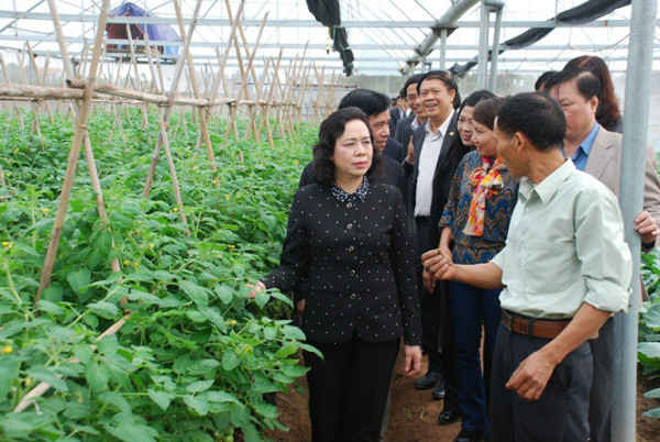 nông nghiệp công nghệ cao