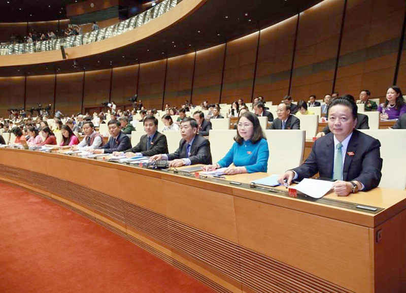 Các đại biểu