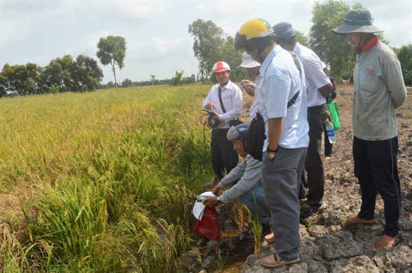 biến đổi khí hậu