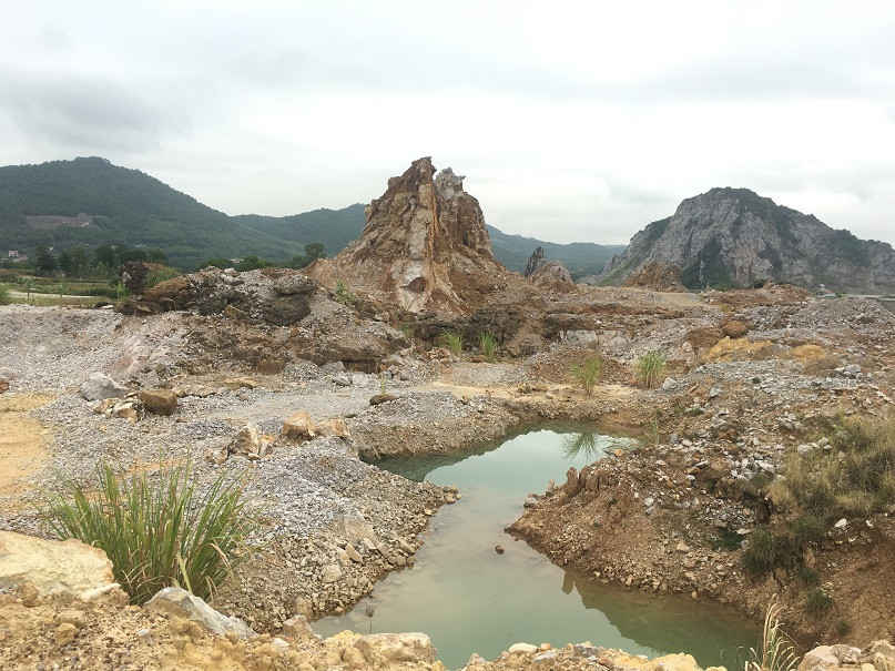 Ảnh 4