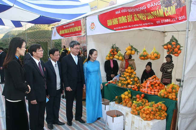 Gắn nhãn hiệu sản phẩm Cam Phù Yên