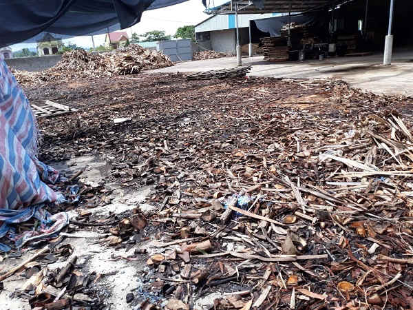 Các xưởng chế biến gỗ không phép gây ô nhiễm vì không được quản lý về môi trường
